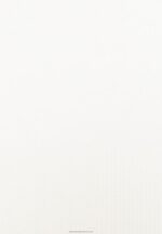 Z62T238 Women Anna Field Basic T-Shirt White - Image 3